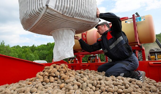 Цены в Калининграде: продукты подорожали на 7,4% с начала года