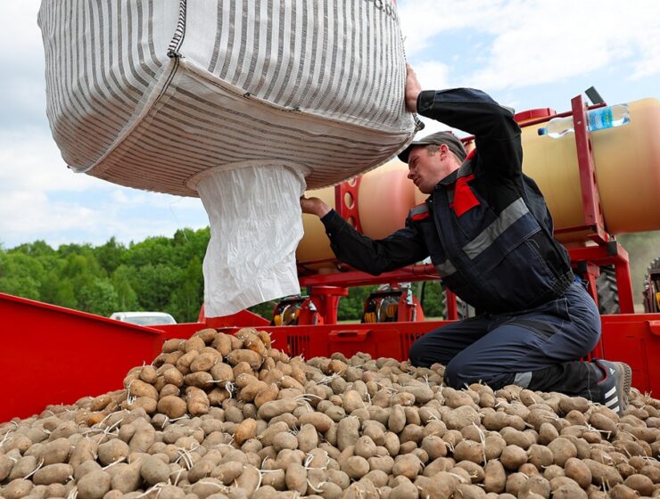 Цены в Калининграде: продукты подорожали на 7,4% с начала года