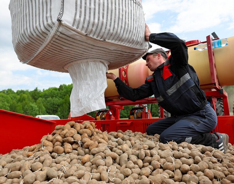 Цены в Калининграде: продукты подорожали на 7,4% с начала года