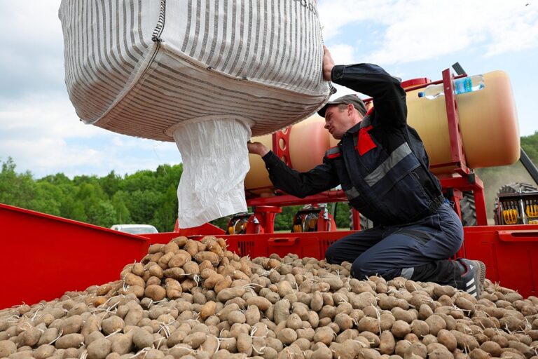 Цены в Калининграде: продукты подорожали на 7,4% с начала года