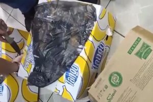 В Калининграде изъяли 11 коробок нелегального алкоголя