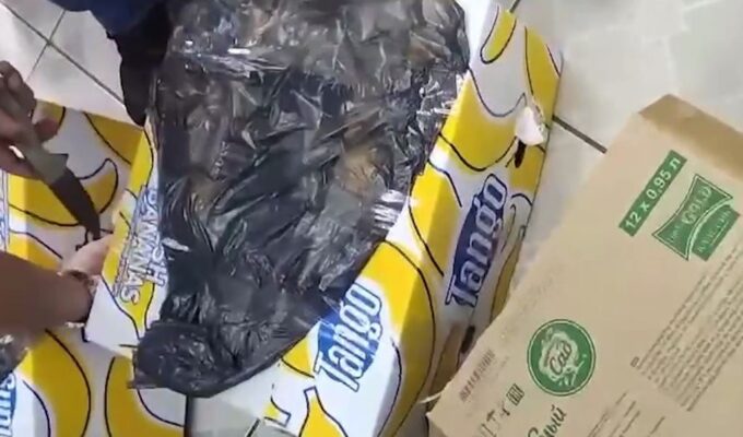 В Калининграде изъяли 11 коробок нелегального алкоголя