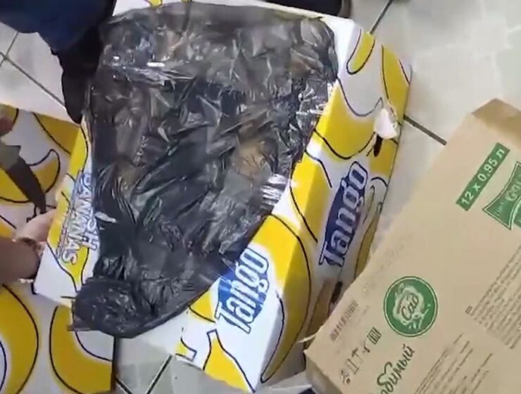 В Калининграде изъяли 11 коробок нелегального алкоголя В Калининграде изъяли 11 коробок нелегального алкоголя