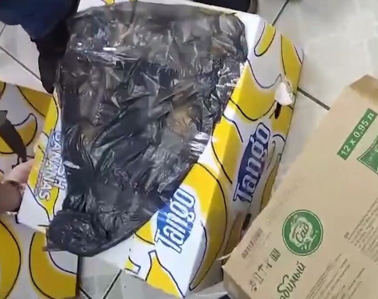 В Калининграде изъяли 11 коробок нелегального алкоголя