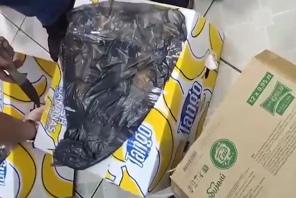 В Калининграде изъяли 11 коробок нелегального алкоголя В Калининграде изъяли 11 коробок нелегального алкоголя