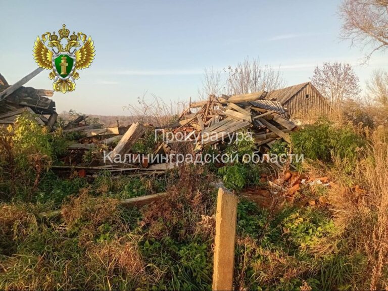 Жительница лишила сирот дома в Правдинском районе