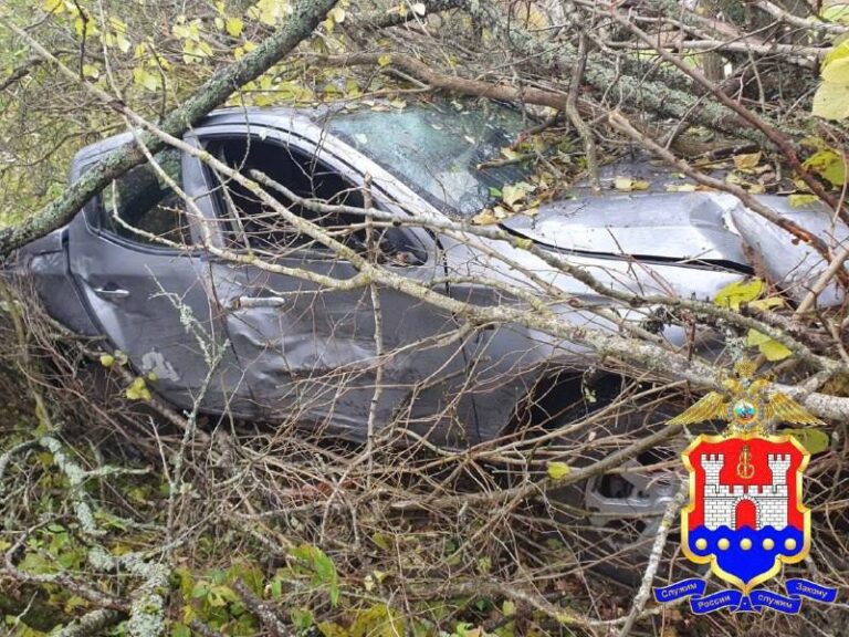 В Правдинске сожитель дочери угнал и разбил пикап у пенсионерки