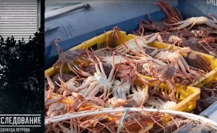 «Колючий бизнес»: как Сахалин теряет морские богатства