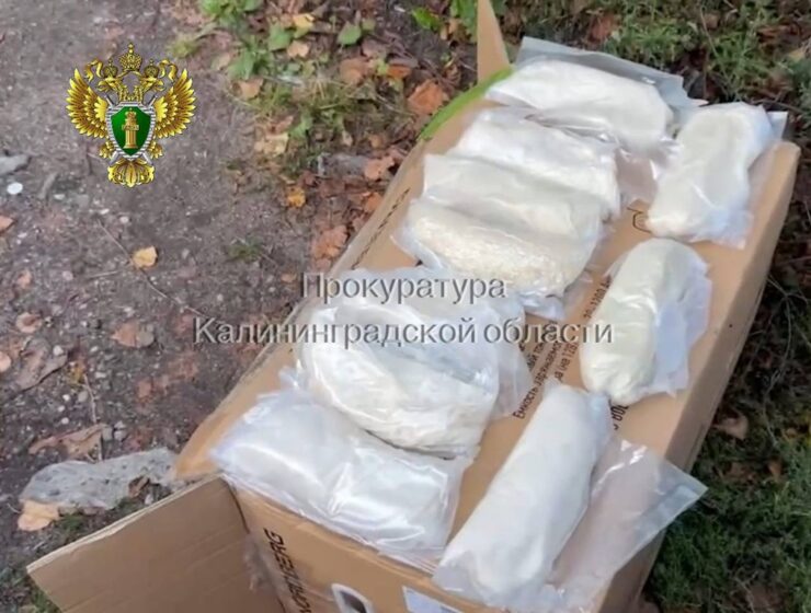 В Калининграде задержан наркодилер с 5 кг «соли»