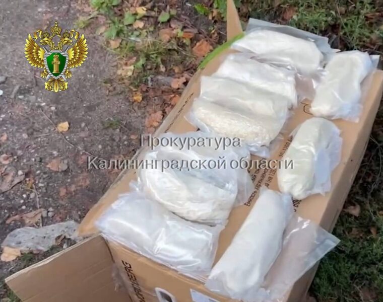 В Калининграде задержан наркодилер с 5 кг «соли»