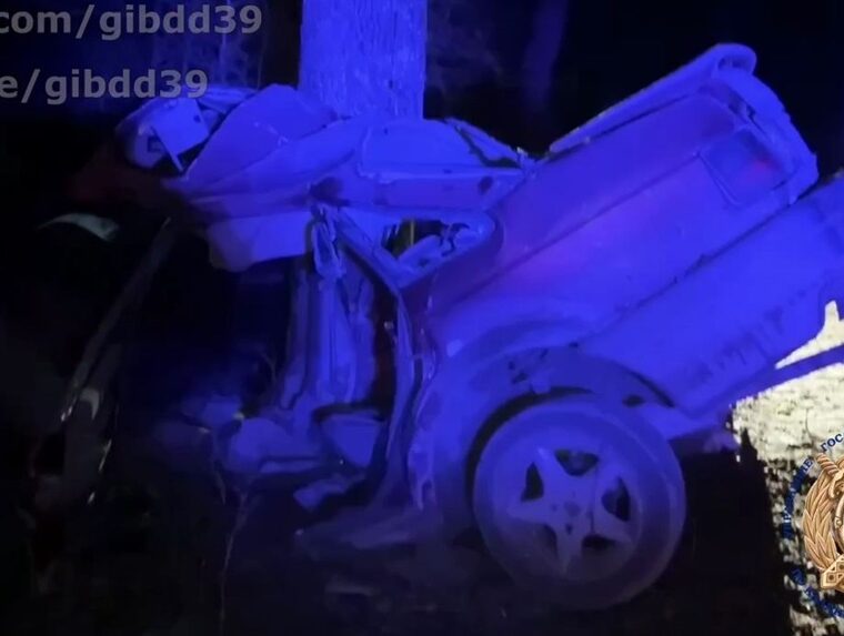 Близ Гусева два человека погибли в ДТП — автомобиль врезался в дерево