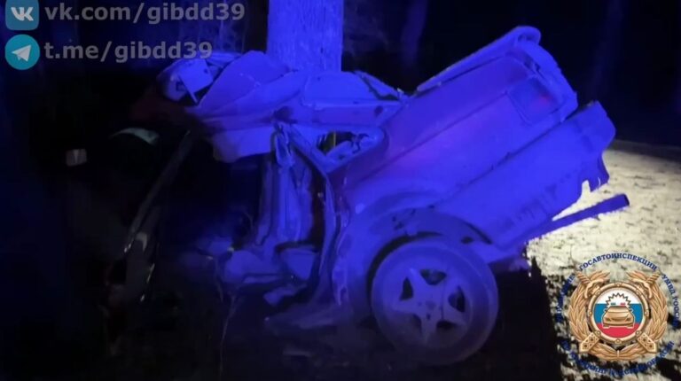 Близ Гусева два человека погибли в ДТП &mdash; автомобиль врезался в дерево