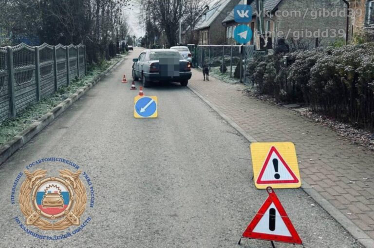 В Багратионовском районе водитель &laquo;Мерседеса&raquo; сбил пешехода на тротуаре