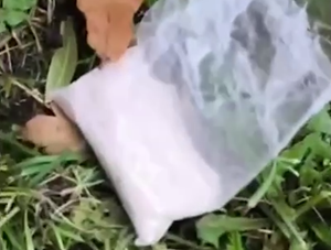 Снимок экрана 2025-11-18 140733