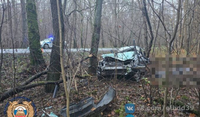 В ДТП под Калининградом погиб молодой водитель