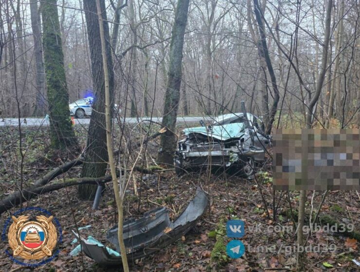 В ДТП под Калининградом погиб молодой водитель