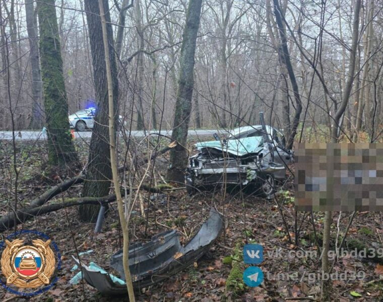 В ДТП под Калининградом погиб молодой водитель