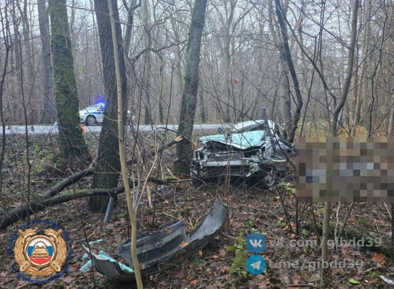 В ДТП под Калининградом погиб молодой водитель