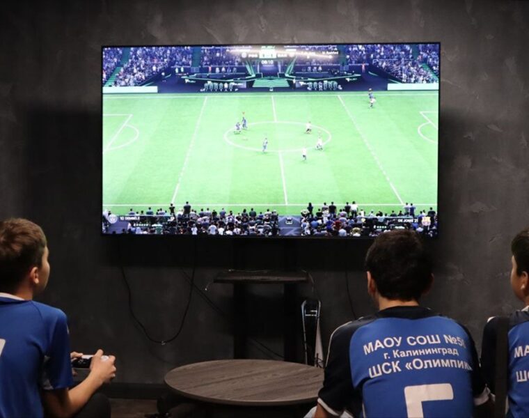 Три школы Калининградской области вошли в число лидеров проекта «Знание.Спорт»