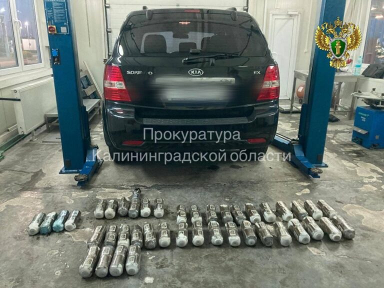 В Калининграде раскрыли контрабанду 40 кг гашиша
