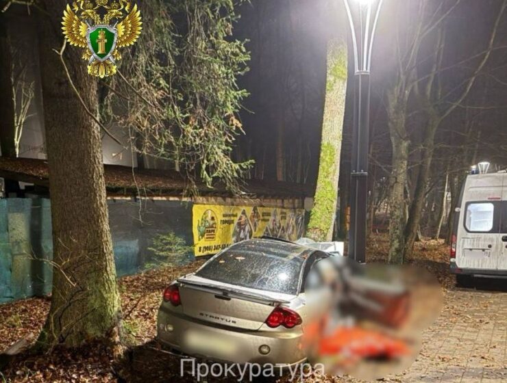 В Светлогорске водитель без прав спровоцировал смертельное ДТП