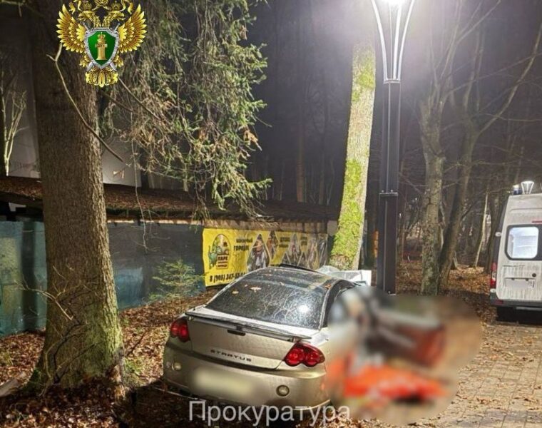 В Светлогорске водитель без прав спровоцировал смертельное ДТП