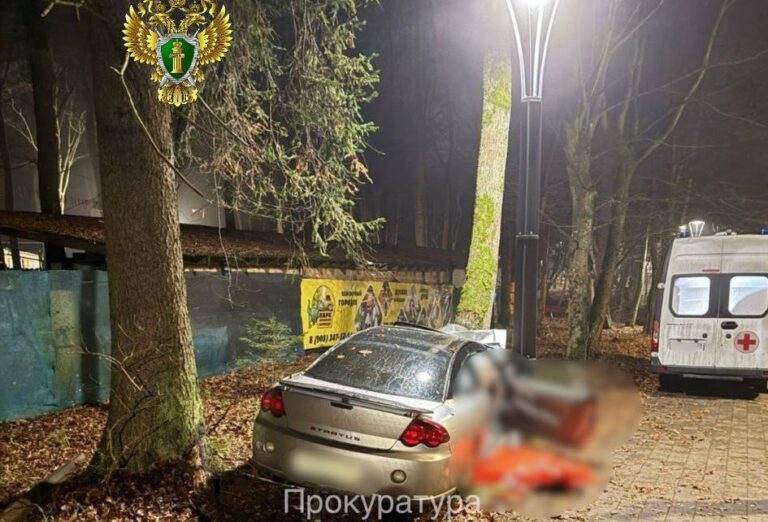 В Светлогорске водитель без прав спровоцировал смертельное ДТП