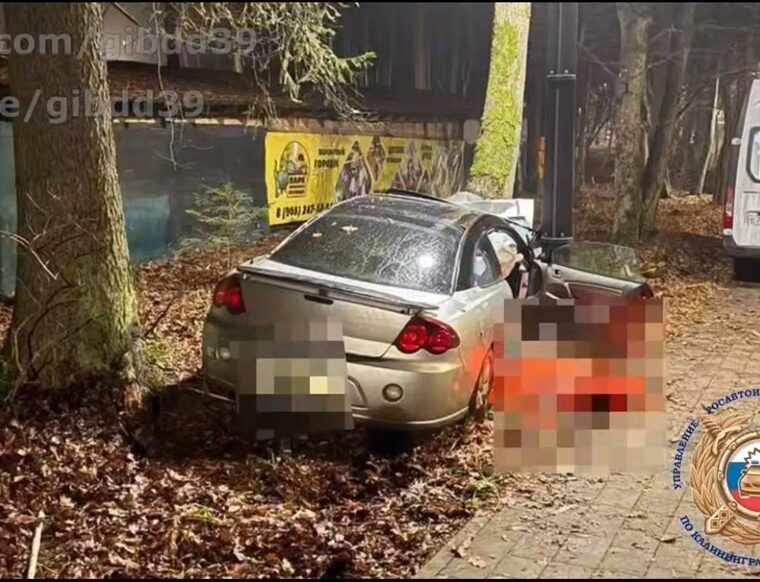 В Светлогорске возбуждено уголовное дело после смертельного ДТП