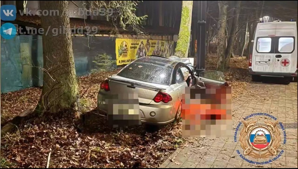 В Светлогорске возбуждено уголовное дело после смертельного ДТП