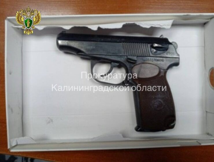 Житель Советска предстанет перед судом за кражу заряженного пистолета