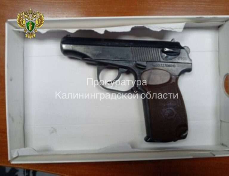 Житель Советска предстанет перед судом за кражу заряженного пистолета