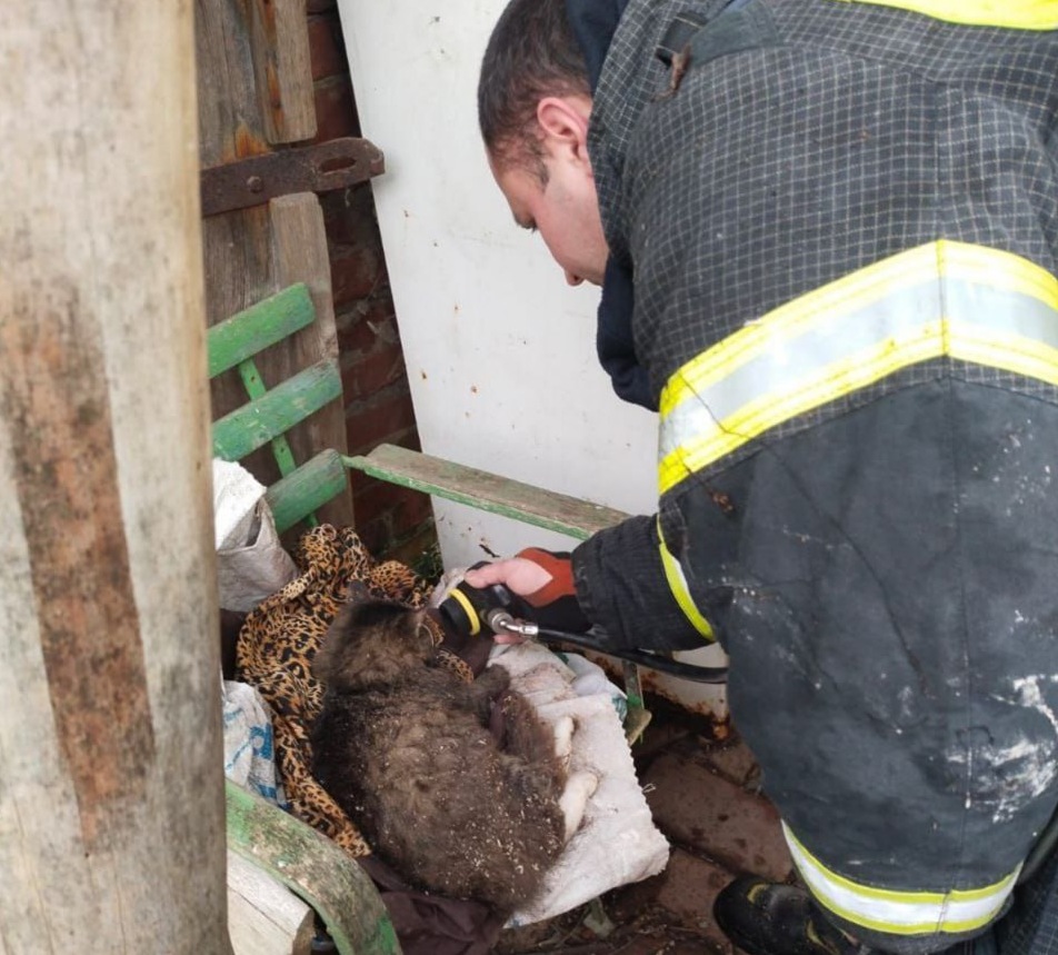 photo_2025-12-08_12-24-08