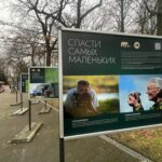 В Калининградском зоопарке открылась выставка о спасении крапчатого суслика