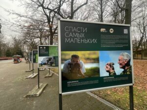 В Калининградском зоопарке открылась выставка о спасении крапчатого суслика