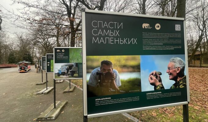 В Калининградском зоопарке открылась выставка о спасении крапчатого суслика