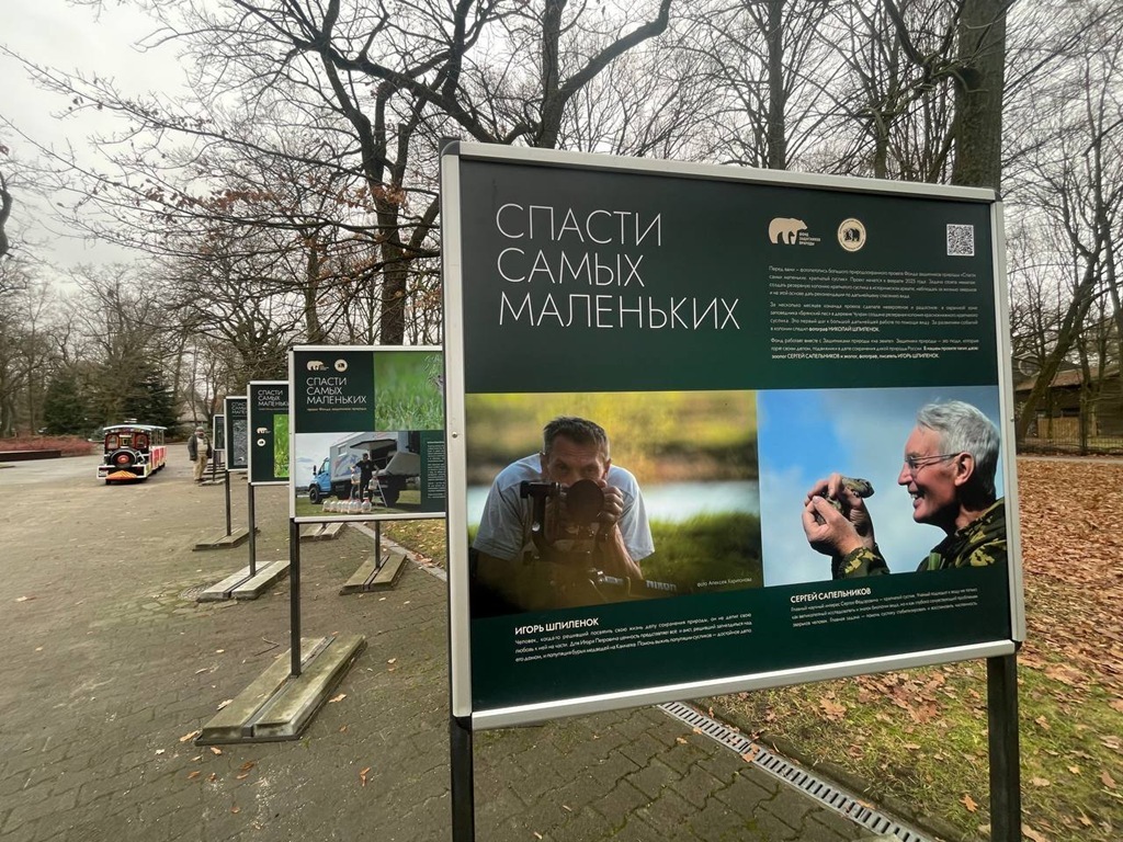 В Калининградском зоопарке открылась выставка о спасении крапчатого суслика В Калининградском зоопарке открылась выставка о спасении крапчатого суслика