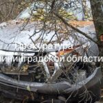 В Калининградской области будут судить угонщика, устроившего ДТП