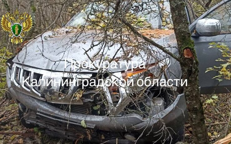 В Калининградской области будут судить угонщика, устроившего ДТП В Калининградской области будут судить угонщика, устроившего ДТП