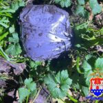 В Калининграде задержан наркодилер, обустроивший более 85 закладок