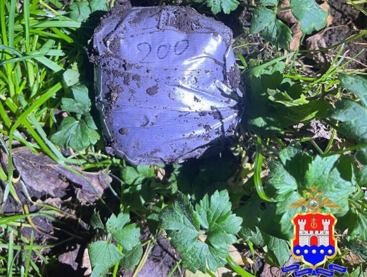 В Калининграде задержан наркодилер, обустроивший более 85 закладок В Калининграде задержан наркодилер, обустроивший более 85 закладок