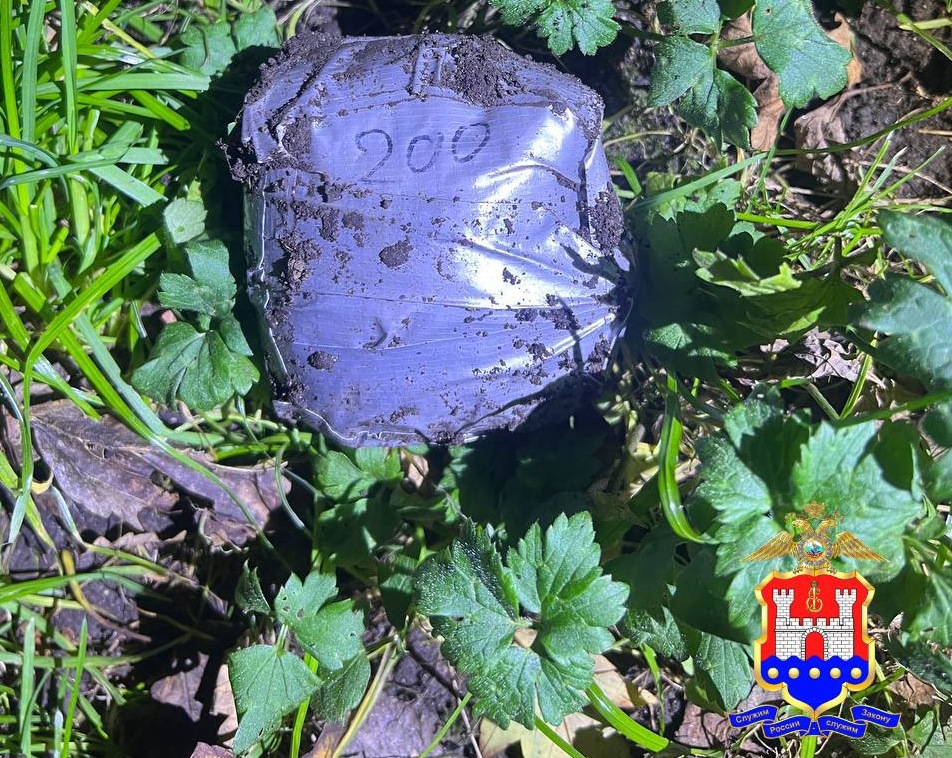 В Калининграде задержан наркодилер, обустроивший более 85 закладок В Калининграде задержан наркодилер, обустроивший более 85 закладок