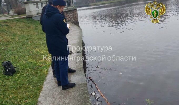 Природоохранная прокуратура проверяет сообщения о сбросах стоков в Верхнее озеро