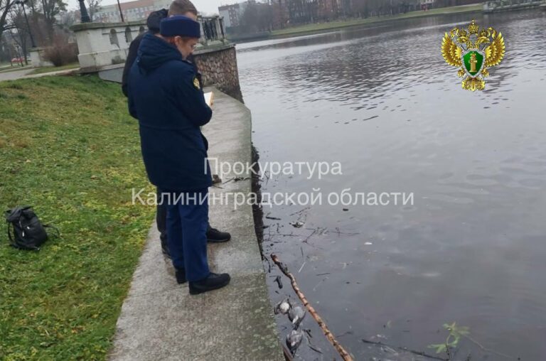 Природоохранная прокуратура проверяет сообщения о сбросах стоков в Верхнее озеро