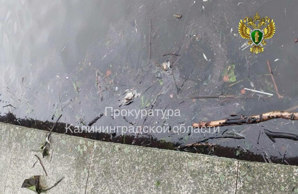 Природоохранная прокуратура проверяет сообщения о сбросах стоков в Верхнее озеро