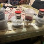 Житель Калининграда приговорён к 9 годам колонии за изготовление взрывчатки