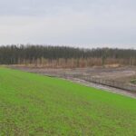 Прокуратура требует изъять у частников пять земельных участков в Пионерском