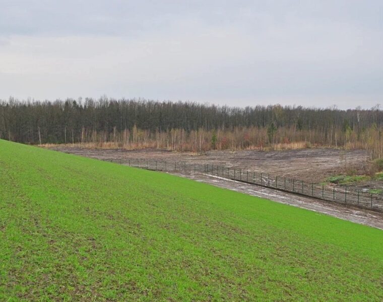 Прокуратура требует изъять у частников пять земельных участков в Пионерском