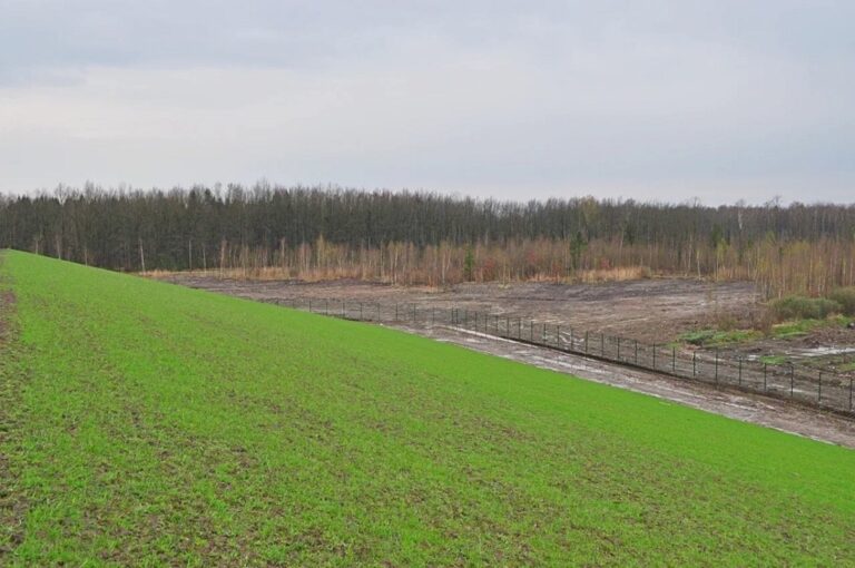 Прокуратура требует изъять у частников пять земельных участков в Пионерском