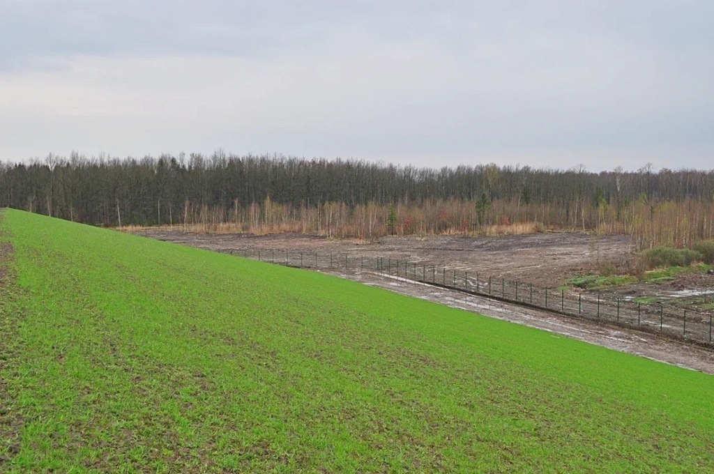 Прокуратура требует изъять у частников пять земельных участков в Пионерском