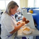 Янтарный комбинат удвоил объём сырья для местных мастеров